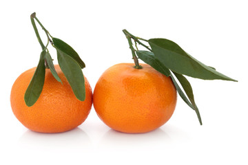 Satsuma Fruit