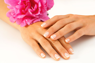 Wall Mural - French manicure.