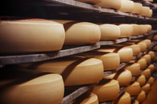 Photo Of A Cheese Factory