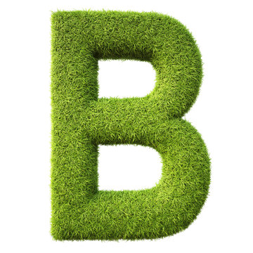Alphabet