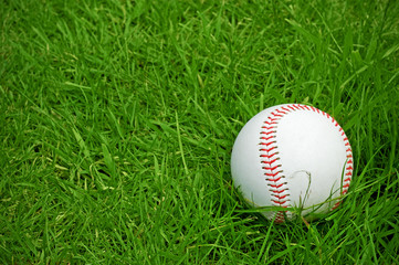 Wall Mural - baseball on green grass pitch