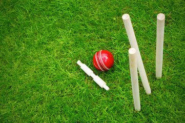 Wall Mural - cricket ball on pitch after hitting stumps