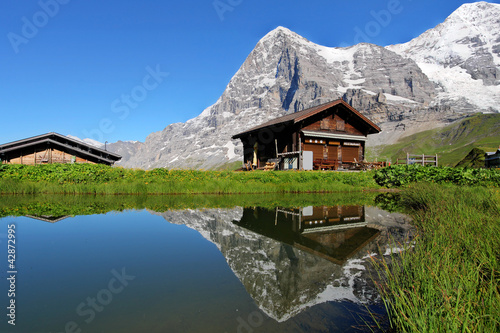 Foto-Vorhang - Chalet and Eiger Mountain, Switzerland (von Bogdan Lazar)