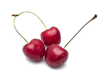 Canvas Print - Fresh Cherry