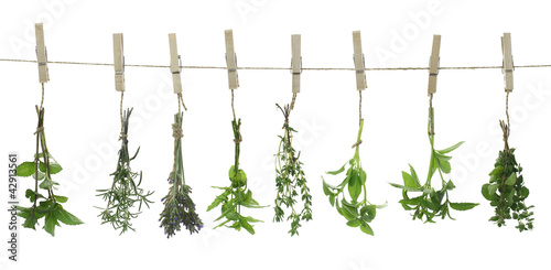 Naklejka dekoracyjna Fresh herbs hanging on a rope