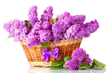 Poster - beautiful lilac flowers in basket on purple background