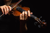 Fototapeta Desenie - Musician playing violin
