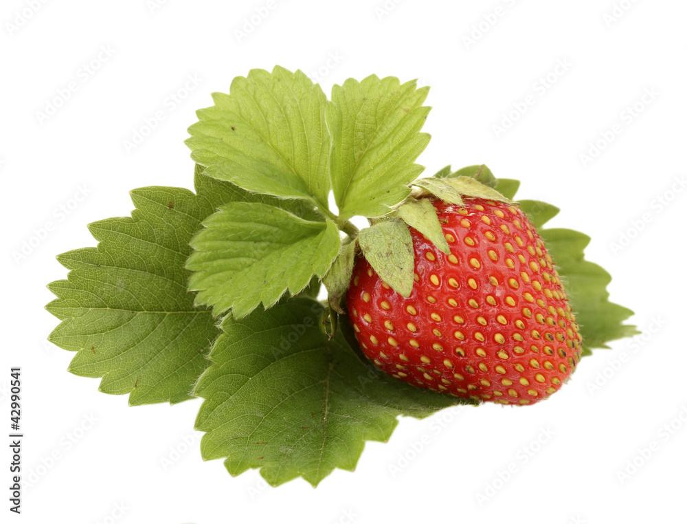 sweet ripe strawberries with leaves isolated on white