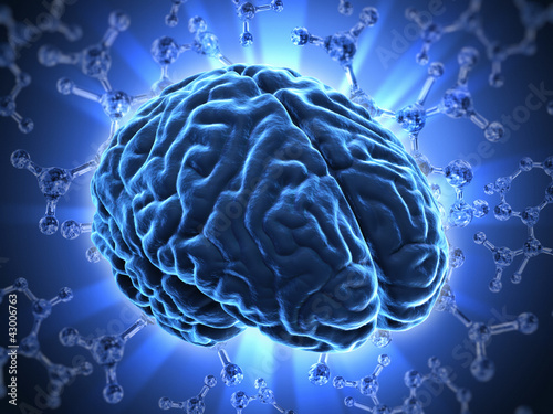 Naklejka - mata magnetyczna na lodówkę The human brain