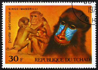 Postage stamp Chad 1972 Mandrills, African Wild Animals