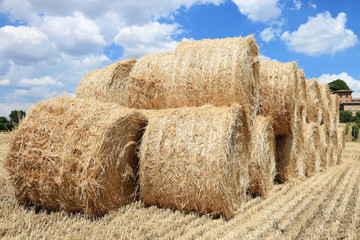 pile of hay bales