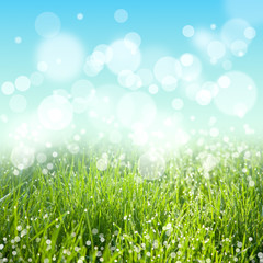 Wall Mural - Abstract nature background with grass and sky bokeh lights