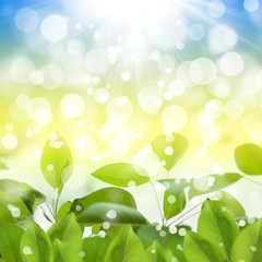 Wall Mural - Abstract nature background with green leaves and sky