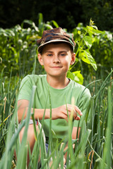 Wall Mural - Boy in a lawn of onions