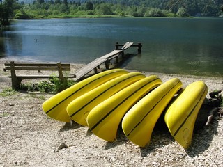 Yellow canoes in a row on the beach of a lake