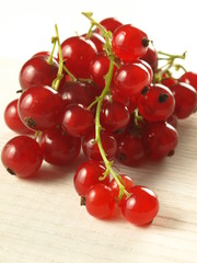 Wall Mural - Red currant