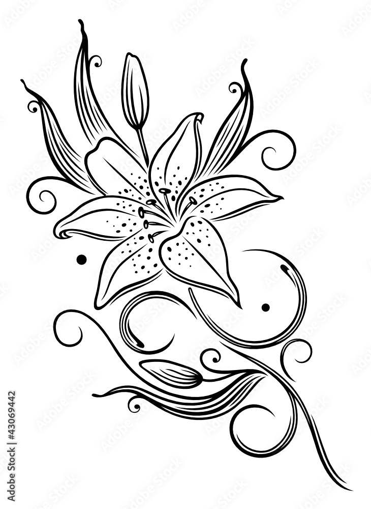 Fototapete Lilie, Lilien, Filigran, Feminin, Ranke, Blume, Blüte
