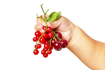 Wall Mural - Child with a cherry and red currant