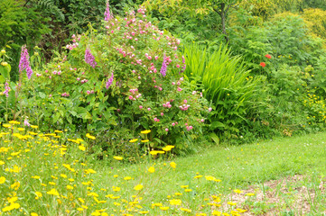 France, le Jardin de l Atelier in Perros Guirec