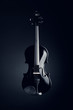 Elegant black violin