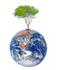 Wall Mural - Planet earth as symbol of nature conservation.Elements of this i