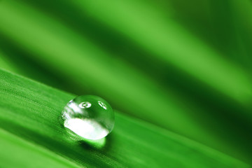 Canvas Print - big water drop