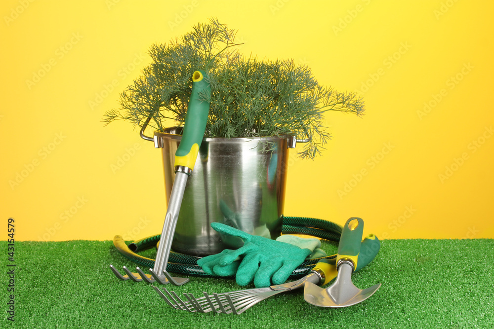 garden tools on lawn on bright colorful background close-up