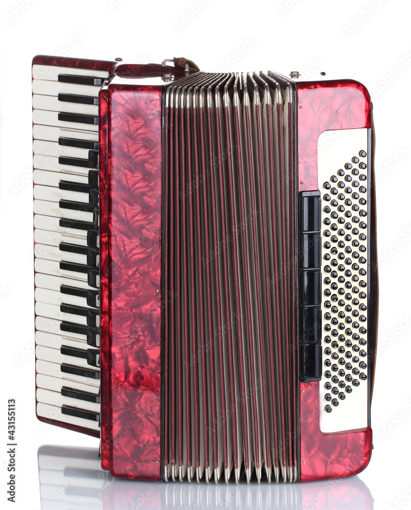 Retro accordion isolated on white