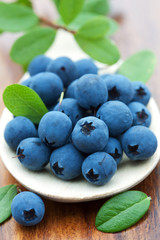 Wall Mural - fresh blueberry