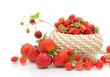 © evgenyi - wild strawberries and strawberry close-up on a white background