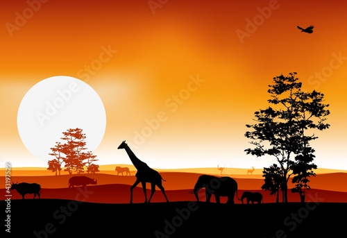 Naklejka - mata magnetyczna na lodówkę beauty silhouette of safari animal