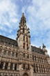 Bruxelles town hall constructed in Gothic style