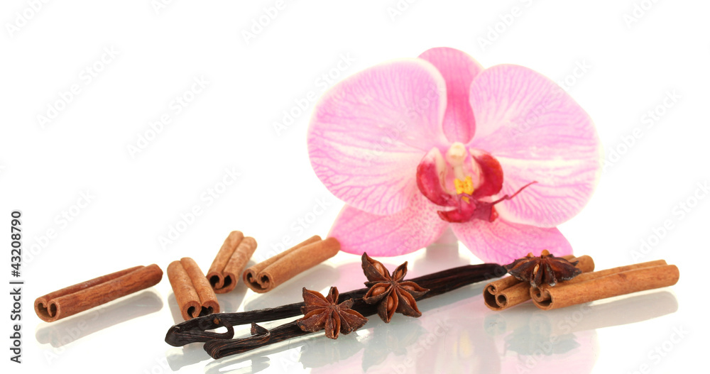 Vanilla pods with spices isolated on white