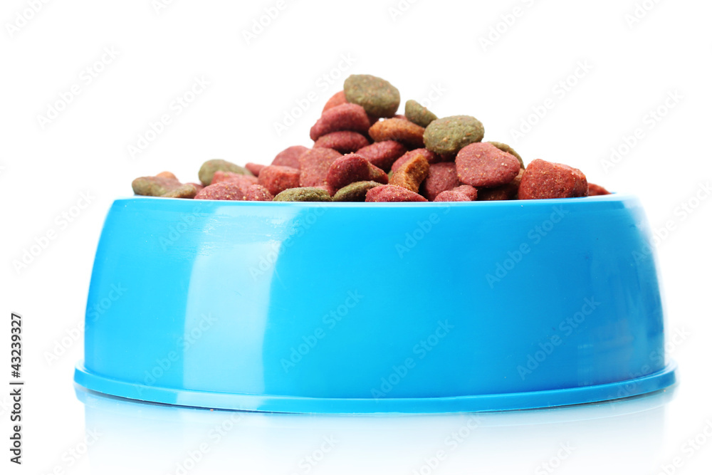 dry dog food in blue bowl  isolated on white