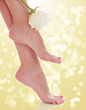 Female feet with a flower on gold blurred background