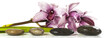 orchid and stones on white background
