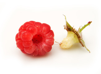 Canvas Print - raspberries on white background