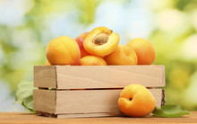 Ripe Apricots With Leaves In Wooden Box