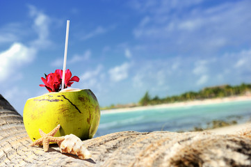 coconuts on the beach