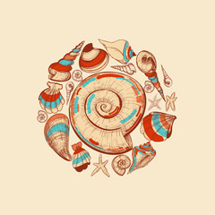 Poster - Shells vector round decoration