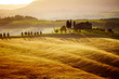 typical Tuscany landscape, Italy 