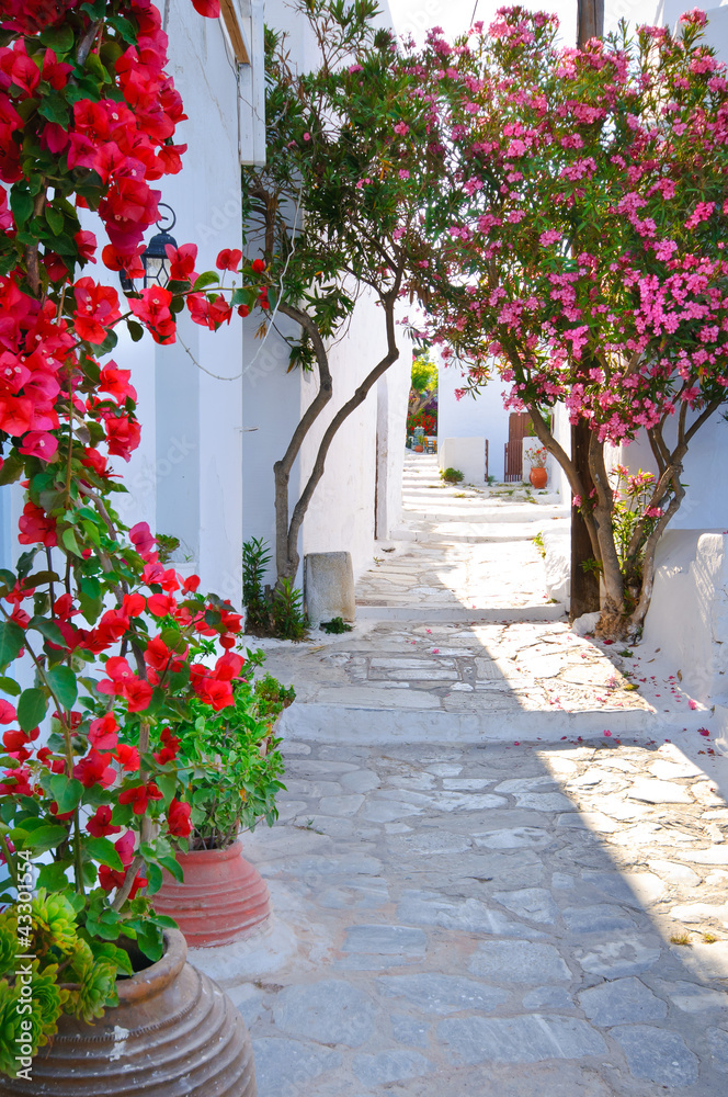 Cicha ulica w małej tradycyjnej greckiej wiosce - obrazy, fototapety, plakaty 
