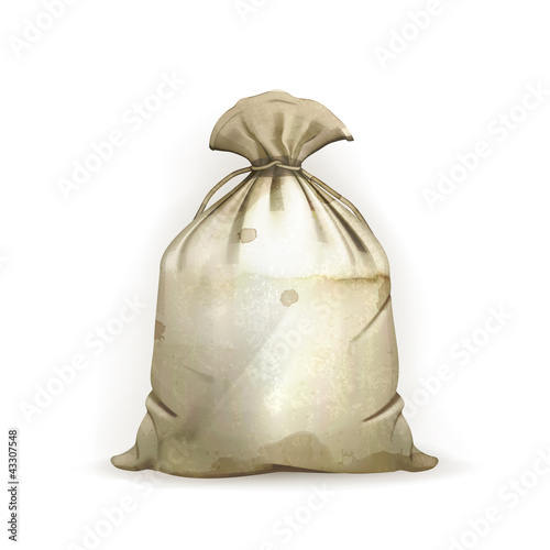 Bag, old-style vector isolated