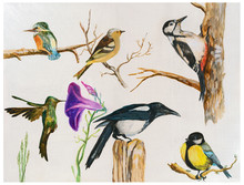 Birds - Acrylic Paint, Hand Painting