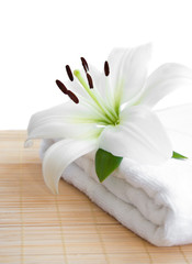 Sticker - white lilly and towel