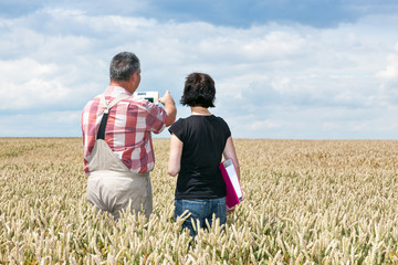 Farmer and agricultural engineer in the field discuss