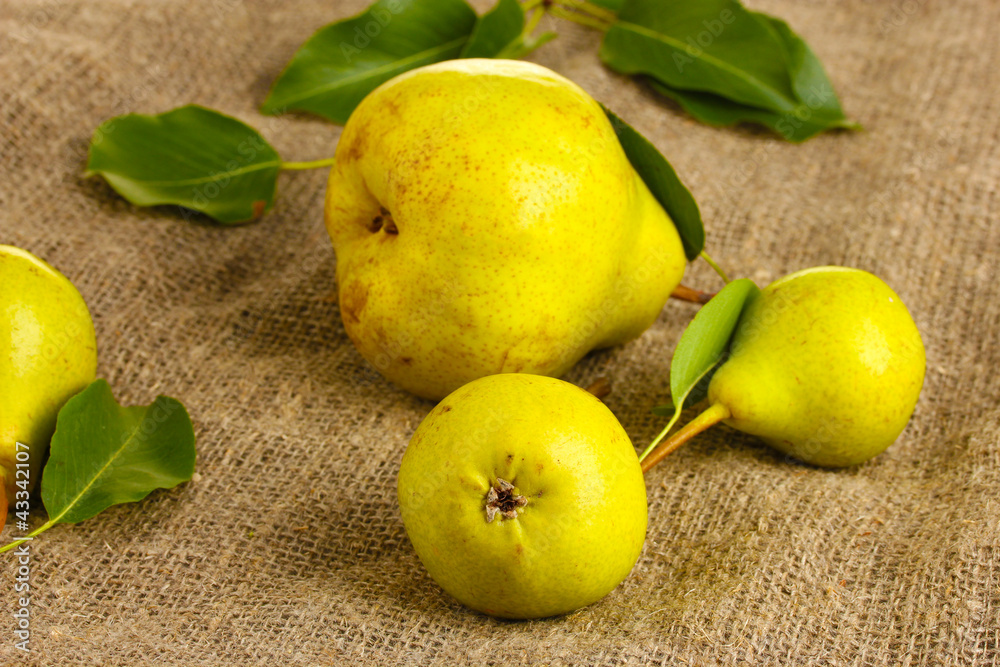 Juicy flavorful pears on sackcloth