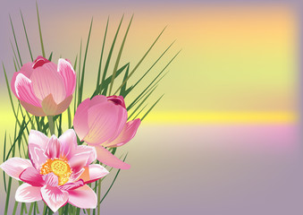 Wall Mural - pink composition with lotus flowers