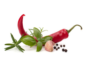 Wall Mural - Chili pepper and spice