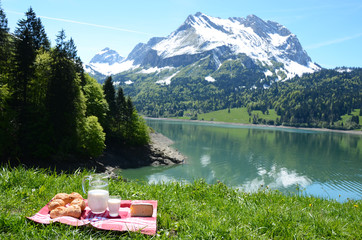 Wall Mural - Milk, cheese and bread served at a picnic